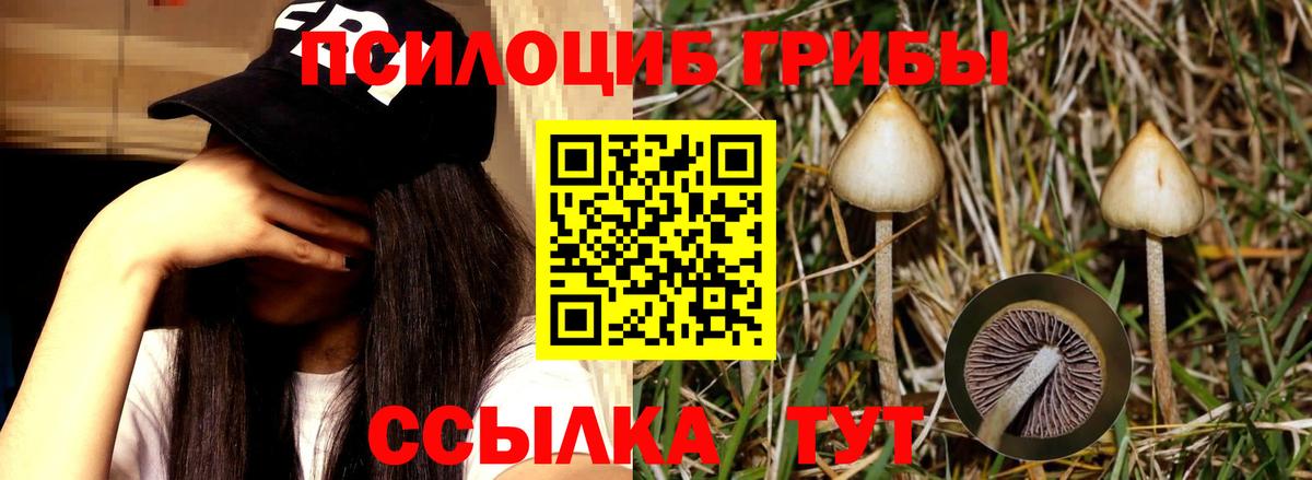 Псилоцибиновые грибы ЛСД Ессентуки