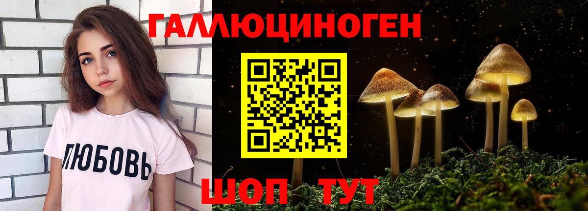 Псилоцибиновые грибы Psilocybe  Вход с VPN  Ессентуки 