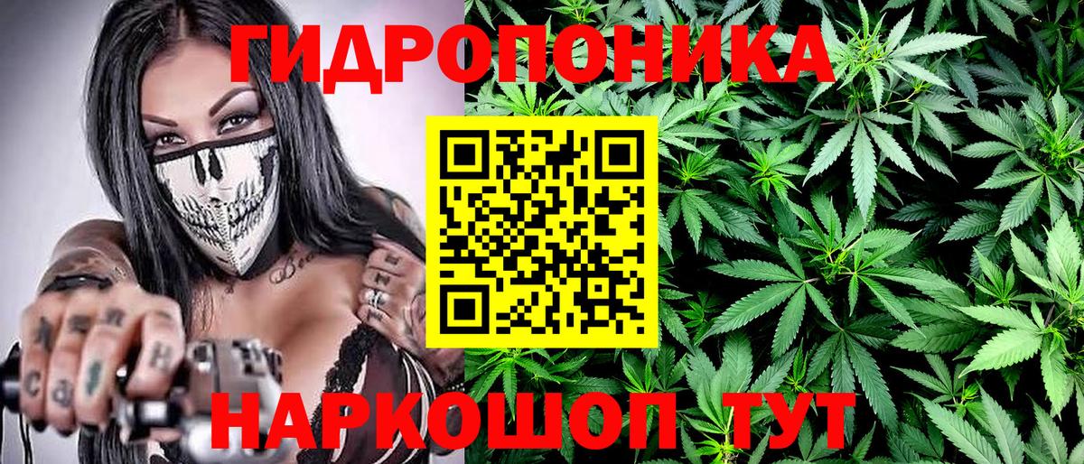 Ессентуки  Конопля SATIVA & INDICA  Вход с VPN  Бошки марихуана AK-47 